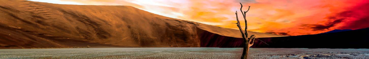 Namibia_banner 1_shutterstock_1215652432