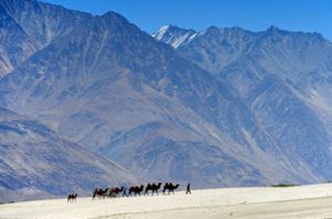 mongolia4