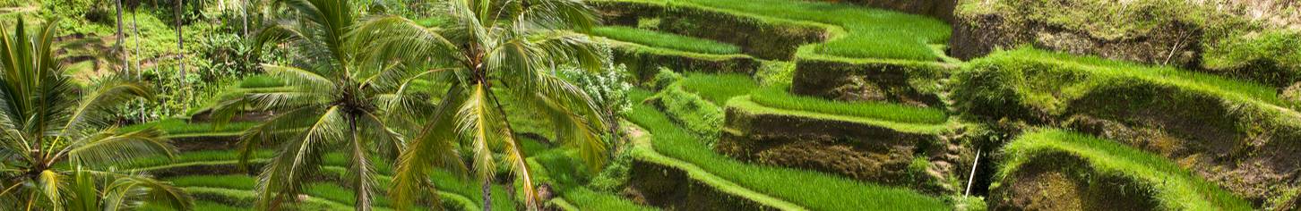 bali_banner_shutterstock_136180889