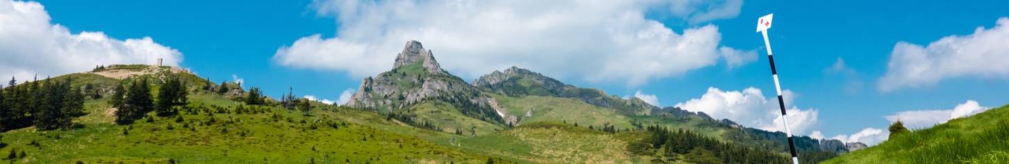Banner_Rumänien_Vandring_Karpaterna_shutterstock_1421722769