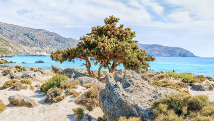 Vandreferie på Vestkreta