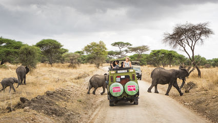 Safari i Serengeti med Zanzibar