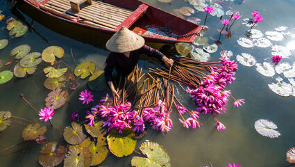 Smukke Vietnam